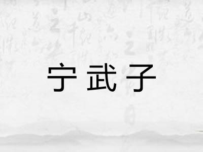 宁武子 宁武子