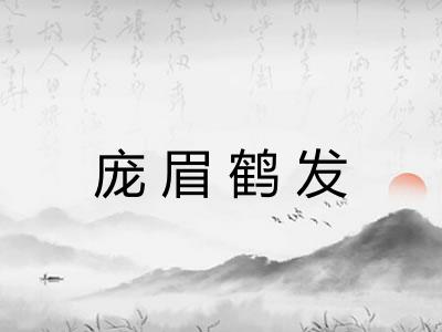 庞眉鹤发
