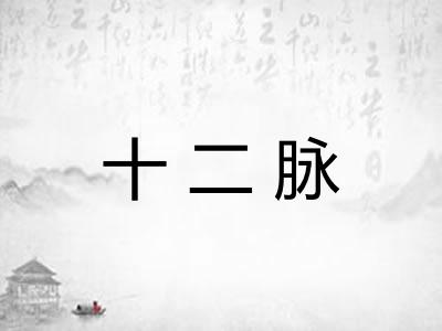十二脉