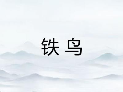 铁鸟 铁鸟