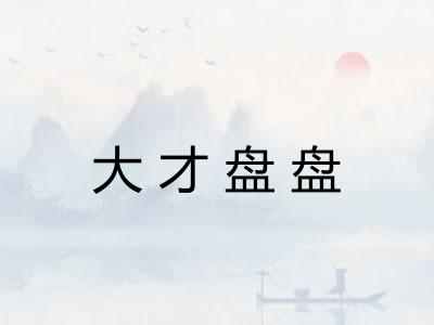 大才盘盘 大才盘盘