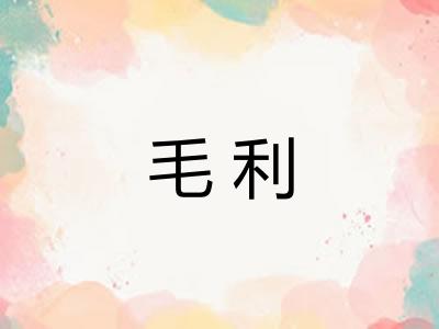 毛利