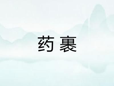药裹