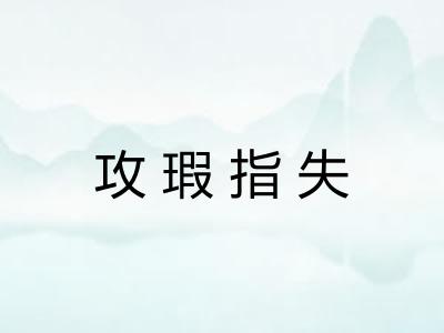 攻瑕指失