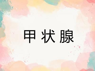 甲状腺 甲状腺