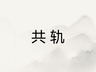 共轨