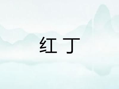 红丁