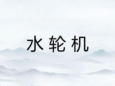 水轮机 水轮机