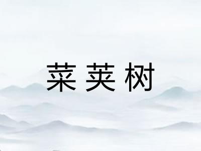 菜荚树 菜荚树