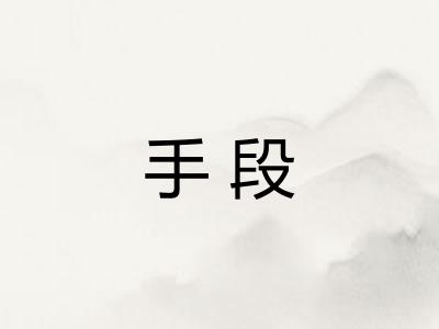 手段