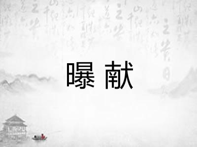 曝献