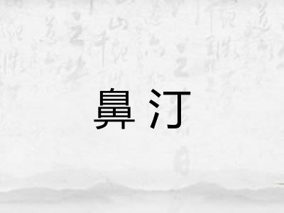 鼻汀