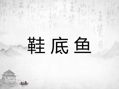 鞋底鱼