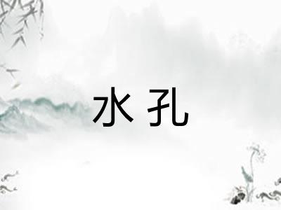 水孔 水孔