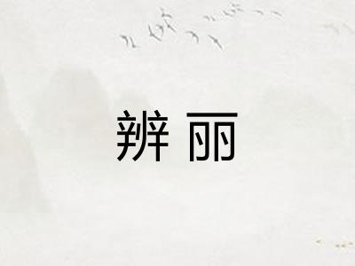 辨丽