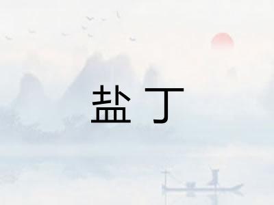 盐丁