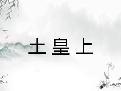 土皇上