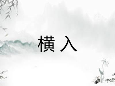 横入