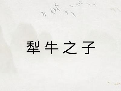 犁牛之子 犁牛之子