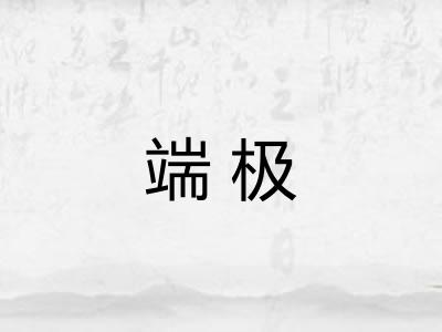 端极 端极
