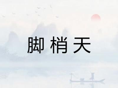 脚梢天 脚梢天