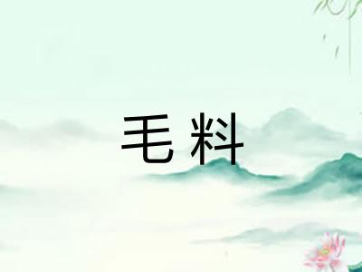 毛料