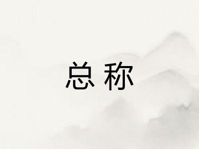 总称 总称