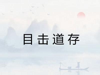 目击道存