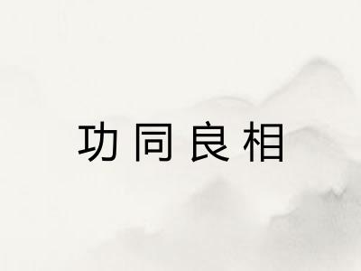 功同良相 功同良相