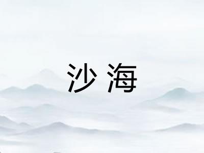 沙海