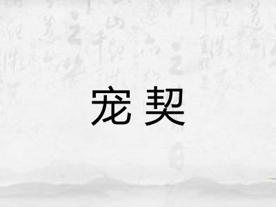 宠契