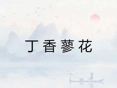 丁香蓼花