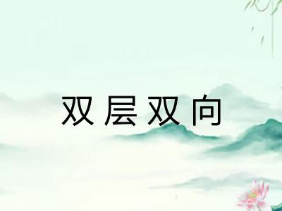 双层双向