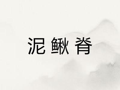 泥鳅脊