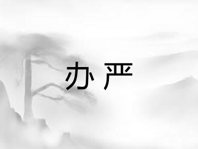 办严
