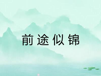 前途似锦