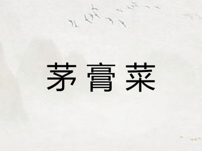 茅膏菜 茅膏菜