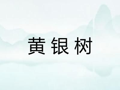 黄银树 黄银树
