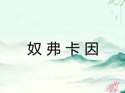 奴弗卡因 奴弗卡因