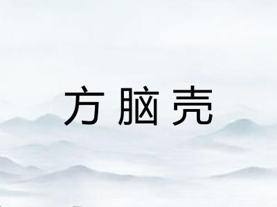 方脑壳 方脑壳