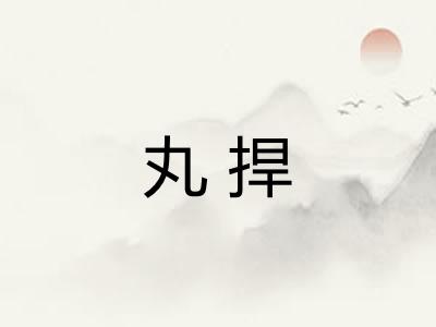 丸捍