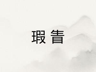 瑕眚