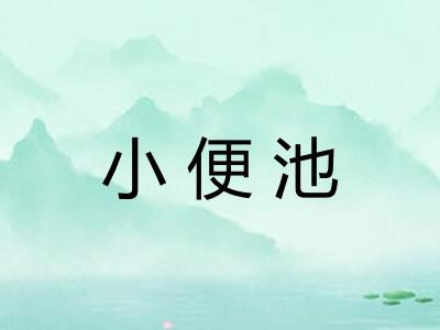 小便池