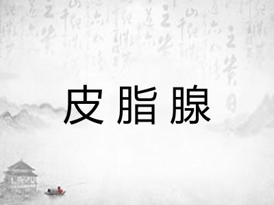 皮脂腺