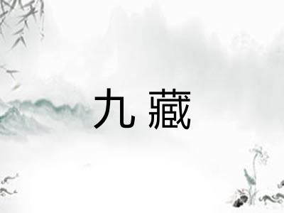 九藏