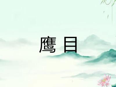 鹰目