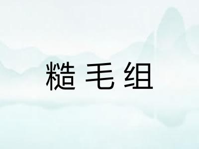 糙毛组