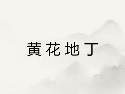 黄花地丁