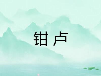 钳卢 钳卢