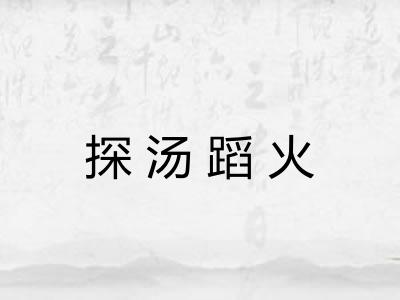 探汤蹈火 探汤蹈火